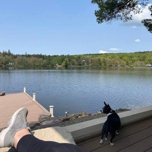 Meet your Posher, Suzanne